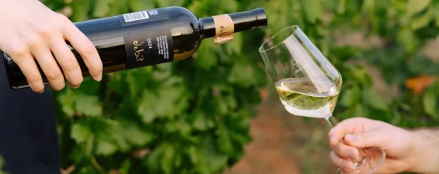 U VINOTECI GRACIN – VEČER S VINARIMA: U GOSTE NAM DOLAZI VINARIJA BIRIN!