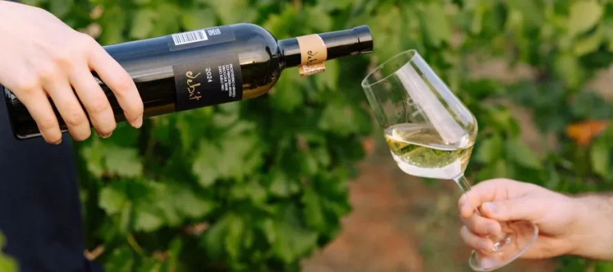 U VINOTECI GRACIN – VEČER S VINARIMA: U GOSTE NAM DOLAZI VINARIJA BIRIN!