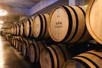Vinarija Markus gost Vinoteke Gracin