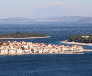 FORA PLUS – Gorila 2