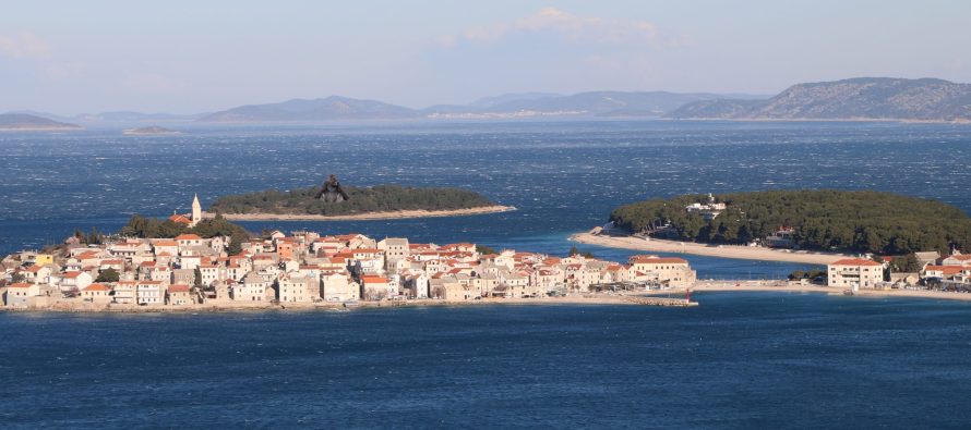FORA PLUS – Gorila 2