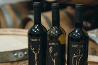 Vinarija Krolo u Kušaonici Vinarije Gracin